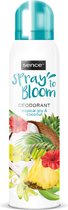 Sence Deodorant Tropical Joy & Coconut - 6 x 150 ml - Voordeelverpakking