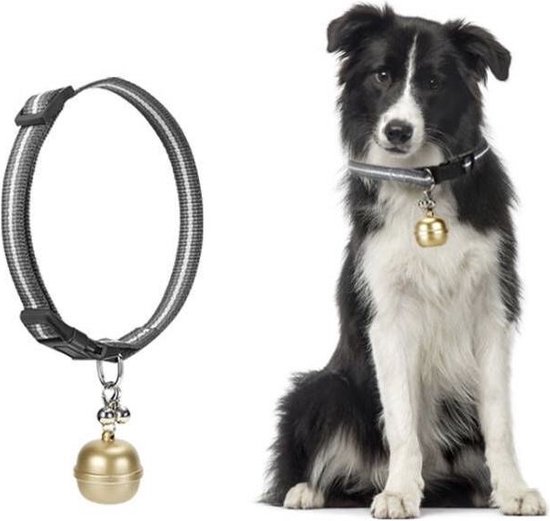 GSF GPS TRACKER HOND met gratis app zonder abonnement