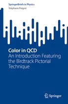 SpringerBriefs in Physics- Color in QCD