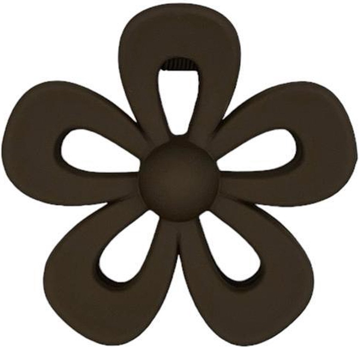 Haarklem - haarklauw - open bloem - flower - bruin
