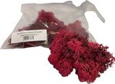 Rendiermos, mos Bordeaux rood 50 gram. Geschikt voor decoraties, mosschilderijen, moswanden, bloemstukjes