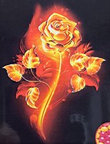 Denza - Diamond painting roos van vuur uniek 40x50cm volledig - rond - direct leverbaar - bloem - roos