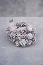 Couronne - Decoratiemateriaal 'Pine Cone' (1KG, White wash)