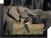 KitchenYeah® Inductie beschermer 71x52 cm - Olifant - Dieren - Grijs - Natuur - Kookplaataccessoires - Afdekplaat voor kookplaat - Inductiebeschermer - Inductiemat - Inductieplaat mat