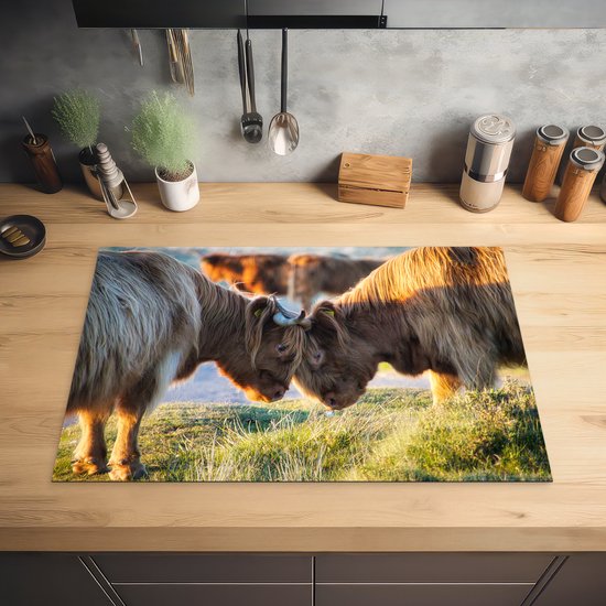 KitchenYeah® Inductie beschermer 78x52 cm - Schotse Hooglanders - Dieren - Zon - Kookplaataccessoires - Afdekplaat voor kookplaat - Inductiebeschermer - Inductiemat - Inductieplaat mat