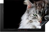 KitchenYeah® Inductie beschermer 80x52 cm - Portret van een grijs gekleurde Maine Coon kat - Kookplaataccessoires - Afdekplaat voor kookplaat - Inductiebeschermer - Inductiemat - Inductieplaat mat