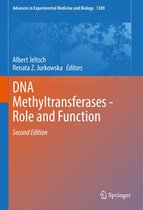 Advances in Experimental Medicine and Biology 1389 - DNA Methyltransferases - Role and Function