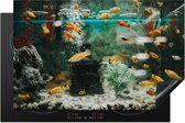 KitchenYeah® Inductie beschermer 80.2x52.2 cm - Kleine visjes in een aquarium - Kookplaataccessoires - Afdekplaat voor kookplaat - Inductiebeschermer - Inductiemat - Inductieplaat mat