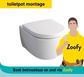 Toiletpot plaatsen (geen inbouwset!) - Door Zoofy in samenwerking met Bol - Installatie-afspraak gepland binnen 1 werkdag