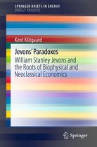 SpringerBriefs in Energy - Jevons' Paradoxes