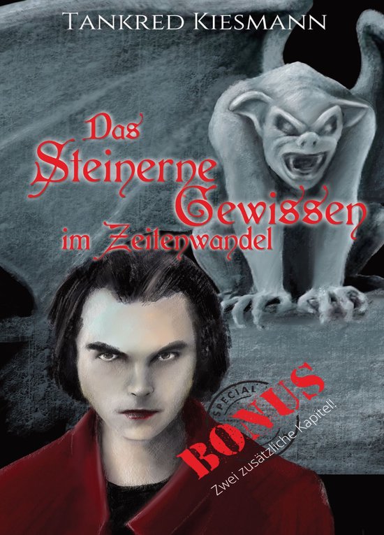 Das steinerne Gewissen im Zeitenwandel - cover
