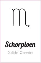 Sterrenbeeld Schorpioen - forex - 20x30cm - wanddecoratie