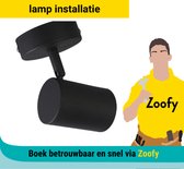 Lamp installatie - Door Zoofy in samenwerking met Bol - Installatieafspraak gepland binnen 1 werkdag.