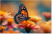 Muurdecoratie Vlinder - Dieren - Kleurrijk - Natuur - Bloemen - 180x120 cm - Tuinposter - Tuindoek - Buitenposter