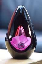 Urn voor crematie-as-Urn Premium Design Glas met afbeelding van klaproos-Roze-bloemen-Urn met afbeelding dmv.hoge kwaliteit foto sign folie-Urn voor Deelbestemming Urn As-60ml inhoud-Premium collectie-Transparant roze askamer