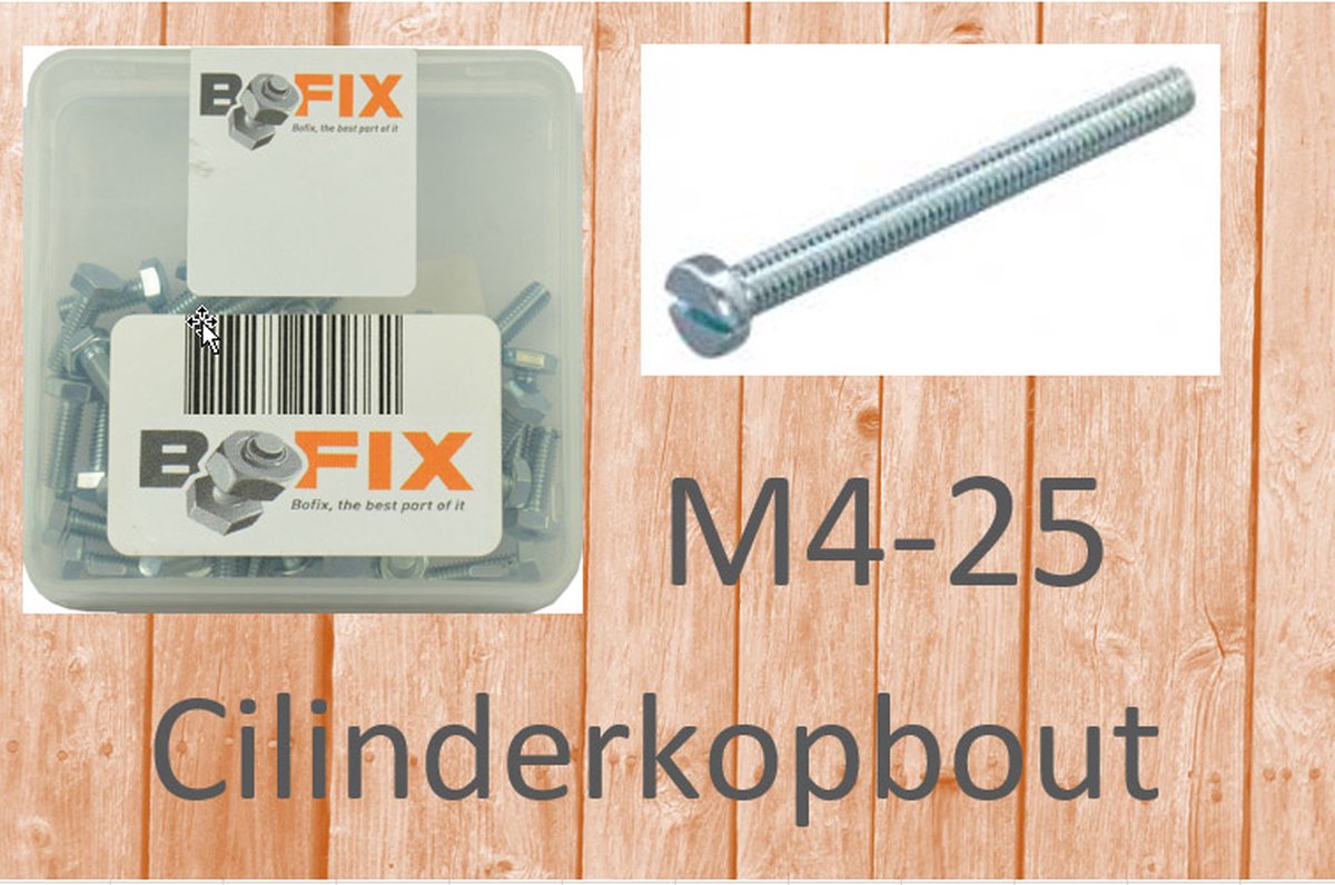 Bofix Cilinderkopbout M4x25 verzinkt (50st)