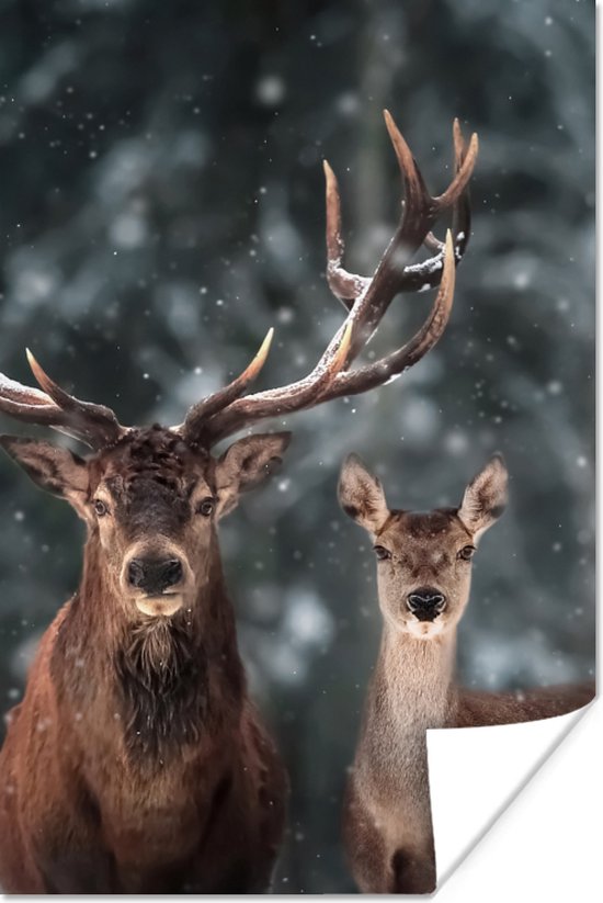 Poster Hert - Dieren - Winter - Gewei - Sneeuw - Natuur - 40x60 cm