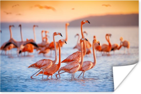 Poster - Fotolijst - Flamingo - Zonsondergang - Vogel - Tropisch - Kader - 120x80 cm - Poster frame - Poster flamingo - Poster dieren - Foto in lijst - Kamer decoratie