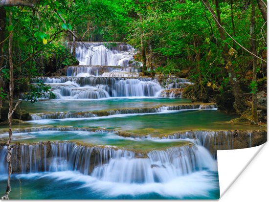 Poster Cascade - Arbres - Nature - Water - Jungle - 40x30 cm