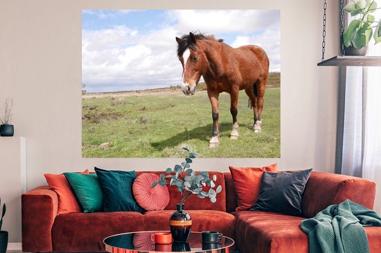 Poster Cheval se dresse dans l'herbe 180x120 cm - Tirage photo sur Poster (décoration murale salon / chambre) / Poster Animaux XXL / Groot format!