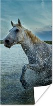 Poster Paard - Water - Druppel - 40x80 cm