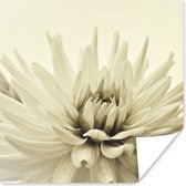 Poster Witte dahlia bloem sepia fotoprint - 50x50 cm