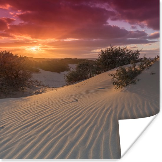 Affiche Coucher de soleil sur la plage hollandaise - 50x50 cm