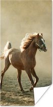 Poster Paard - Zand - Mist - 75x150 cm