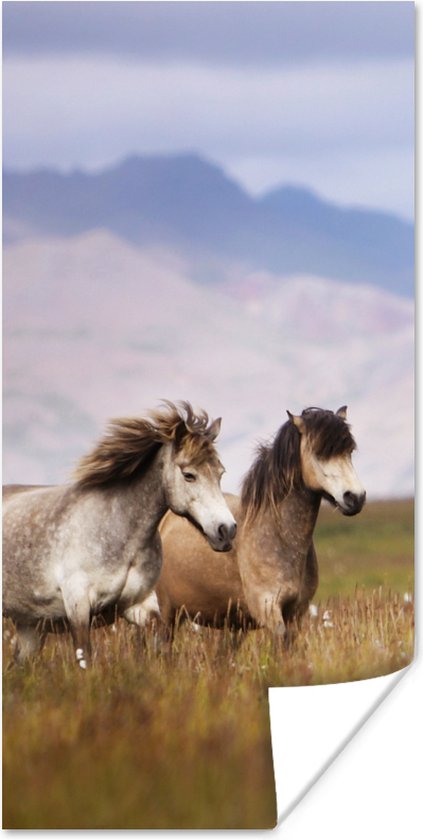 Poster Paarden - Gras - Bergen