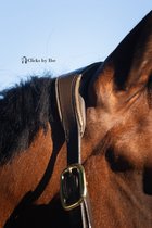 Leren halster donker bruin met gouden glitter COB - MTB Equestrian