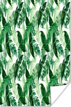 Affiche Vintage - Feuilles - Plantes - 20x30 cm