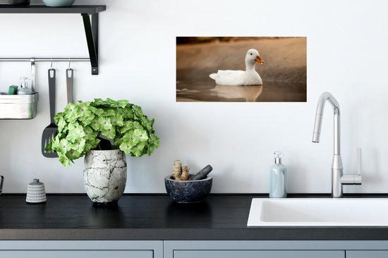 Poster Eend - Vogel - Water - Wit - 40x20 cm
