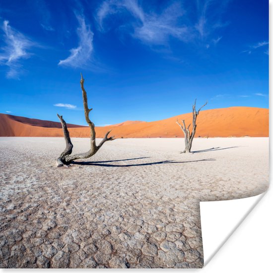 Oude bomen in de woestijn Poster 50x50 cm - Foto print op Poster (wanddecoratie)