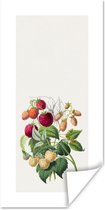 Poster Framboos - Eten - Fruit - 60x120 cm