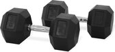 PH Fitness Hexa Dumbbell 30KG [2 stuks] | Dumbbells | Hexagon set