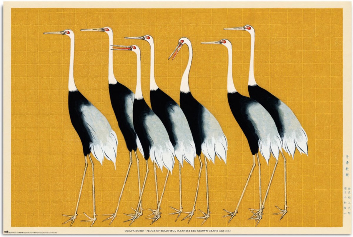 Grupo Erik Poster Flock Of Beautiful Japanese Red Crown Crane By O Korin 61x91,5cm Divers