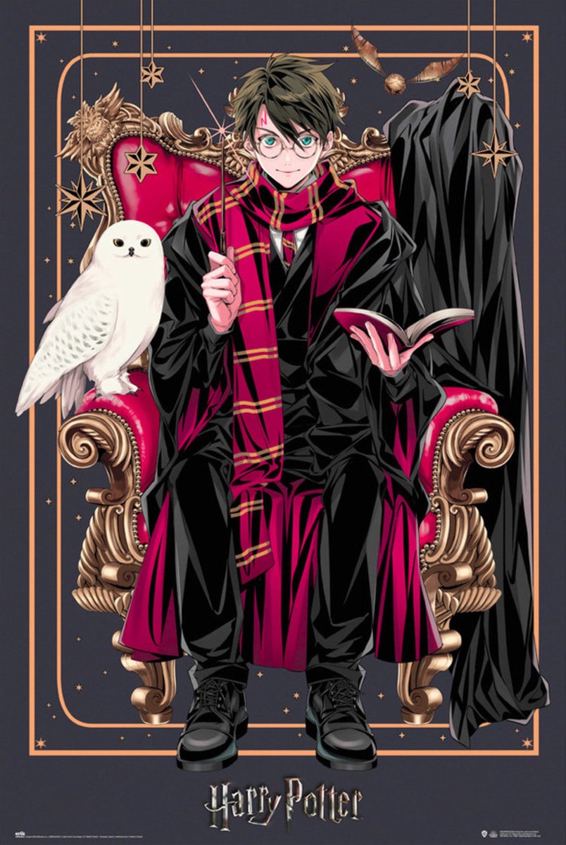 Grupo Erik Poster Harry Potter - Wizard Dynasty 61x91,5cm Divers