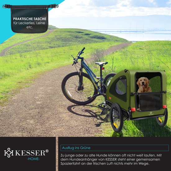 Groene hondenfietskar met golden retriever, gekoppeld aan een fiets op een landweggetje.