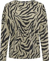 ONLY ONLCAMILLE L/S TOP CC JRS Dames Top - Maat XS