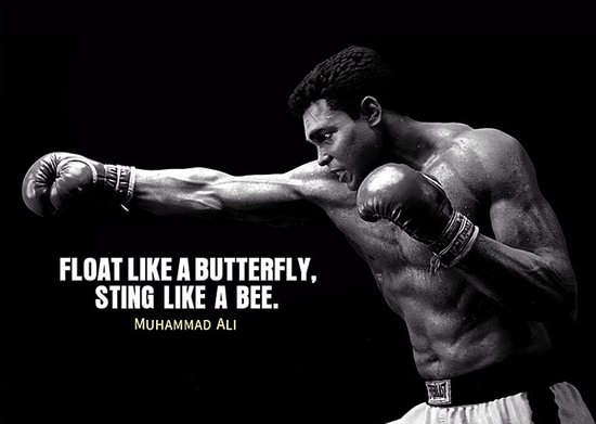 Allernieuwste.nl® Canvas Schilderij Boksen Muhammed Ali Float like a butterfly, sting like a bee - Muhammad Ali - Boks sport - Poster - 60 x 90 cm - Zwart-Wit