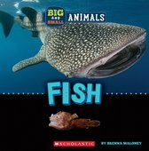 Wild World - Big and Small: Fish (Wild World)