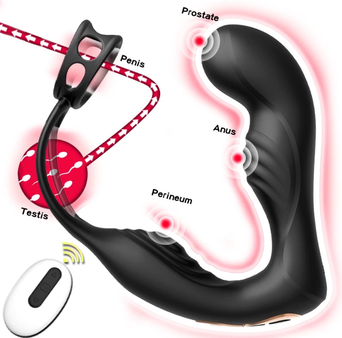 Mannelijke Prostaat Massage Vibrator Dubbele Ring Anale Plug Vibrator Siliconen Delay Ejaculatie Mannelijke Masturbator Volwassen Seksspeeltjes Voor Mannen Met Afstandsbediening