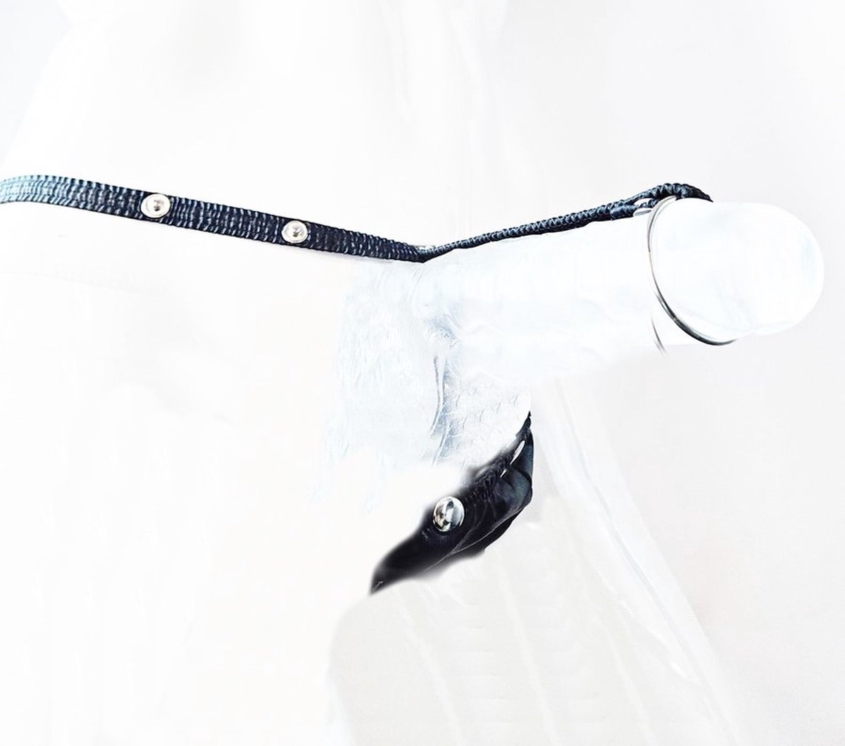 Goedkoopste BamBella® Onesize open kruis String kant voor mannen - - doorzichtig BDSM Erotische Sexy Lingerie Heren - Zwart mannen ondergoed slip Merk BamBella