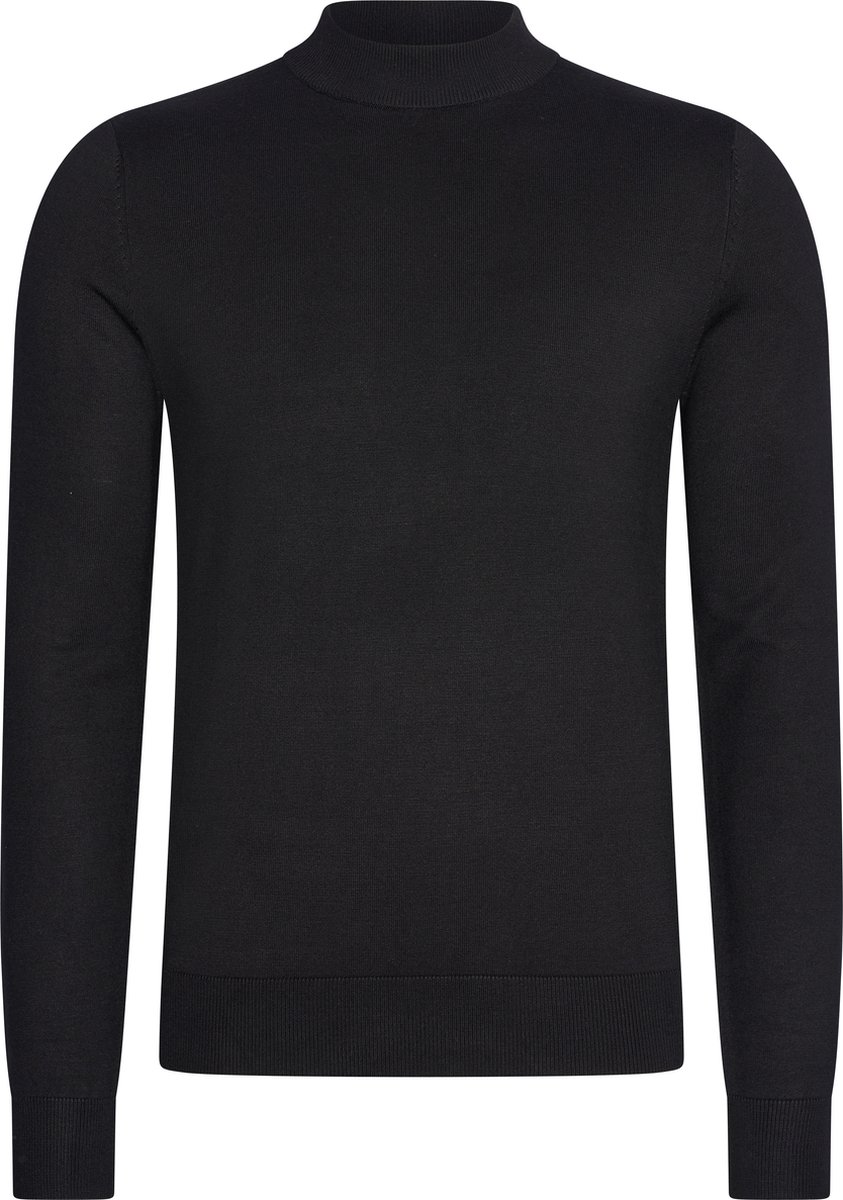 Mario Russo Turtle Neck - Trui Heren - Sweater Heren - Coltrui Heren
