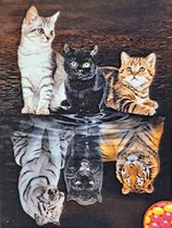 Denza - Diamond painting vrolijke poezen met leeuw 40 x 50 cm volledige bedrukking ronde steentjespoes - kitten - leeuw - tijger - zwarte panter - poes