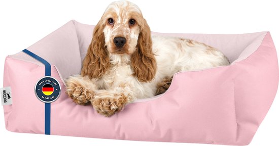 BedDog