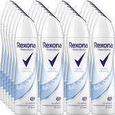 Rexona Deospray - Cotton Dry - Voordeelverpakking 24 x 150 ml