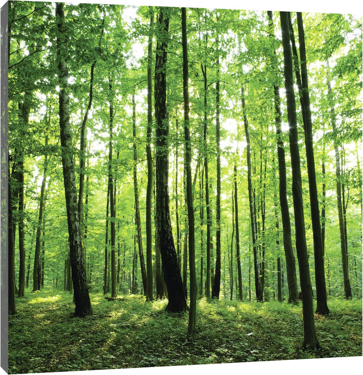 Canvas Schilderij - Groen bos - Woud - Landschap - Bomen - Natuur - Schilderij Woonkamer - Schilderijen op canvas - Inclusief Frame - 100x75cm (LxB)