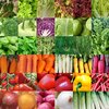 foto van Groentezaden assortiment 36 soorten (sla, kolen, wortels, kruiden, tomaten, paprika, uien, prei) zaadlint