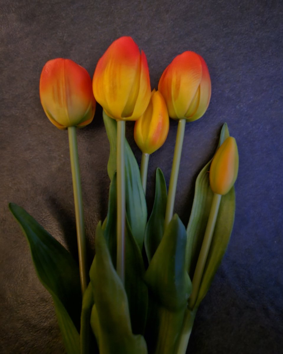 Real touch tulpen orange